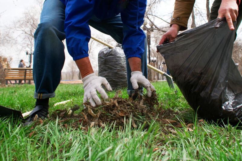 Curb Appeal Property Maintenance Commercial Building